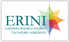 Logo ERINI