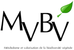 mbvb